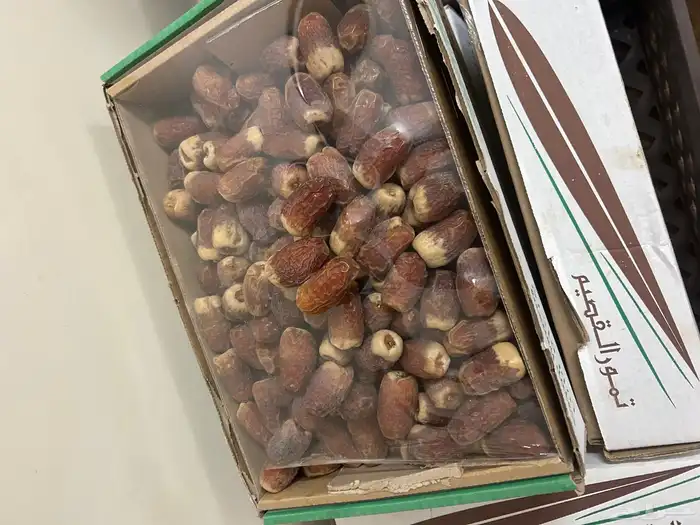 تمور صقعي فاخر ملكي 5