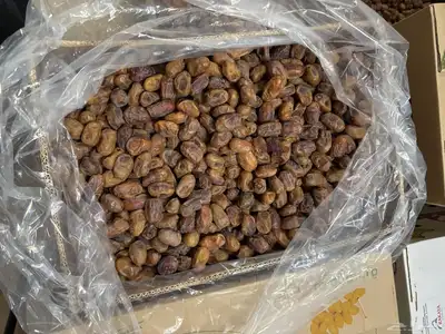 تمر خلاص عضوي index