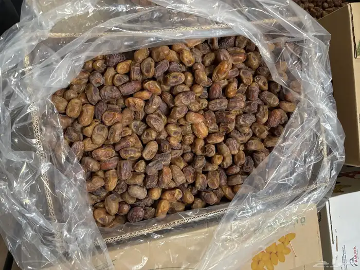 تمر خلاص عضوي 3