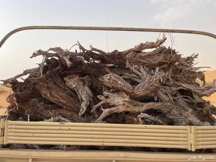دفايه شتاء شرط شاص 0