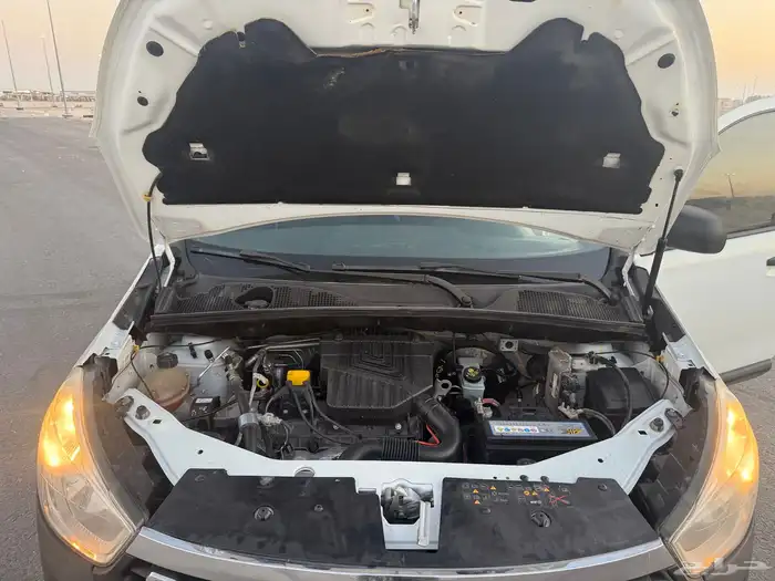 رينو _ دوكر 2019 9