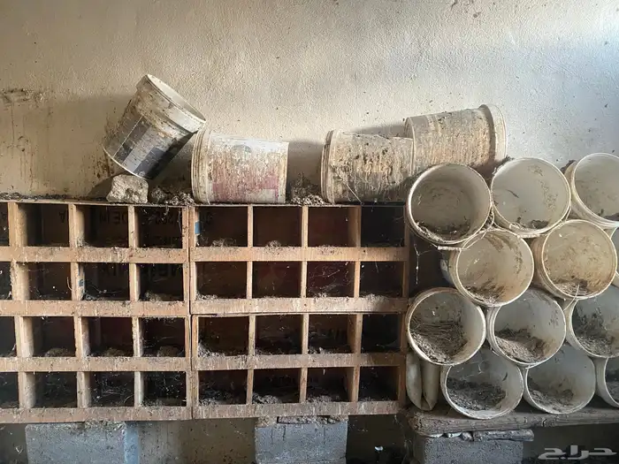 سطول ومحاكر للحمام 0