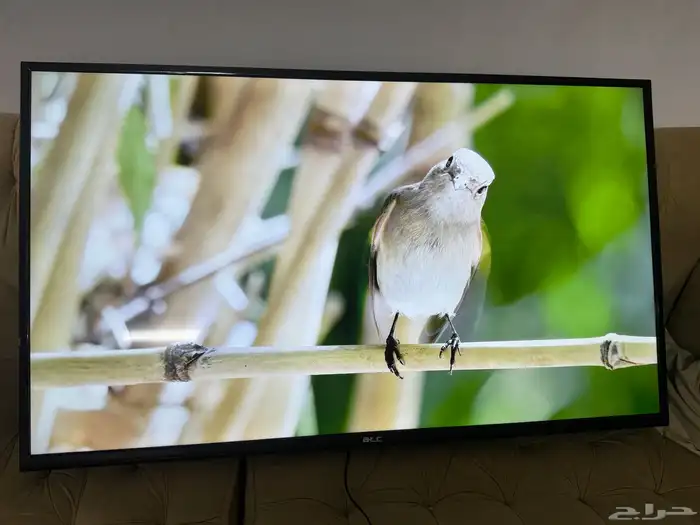 شاشة سمارت 55 بوصه يدعم 8K 1