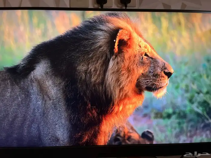 شاشة العاب للسوني و البي سي 3