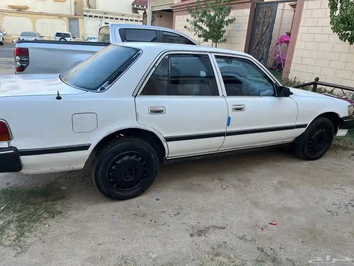 كريسيدا95 2