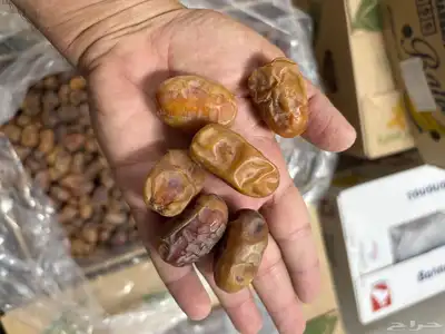 تمر خلاص عضوي index