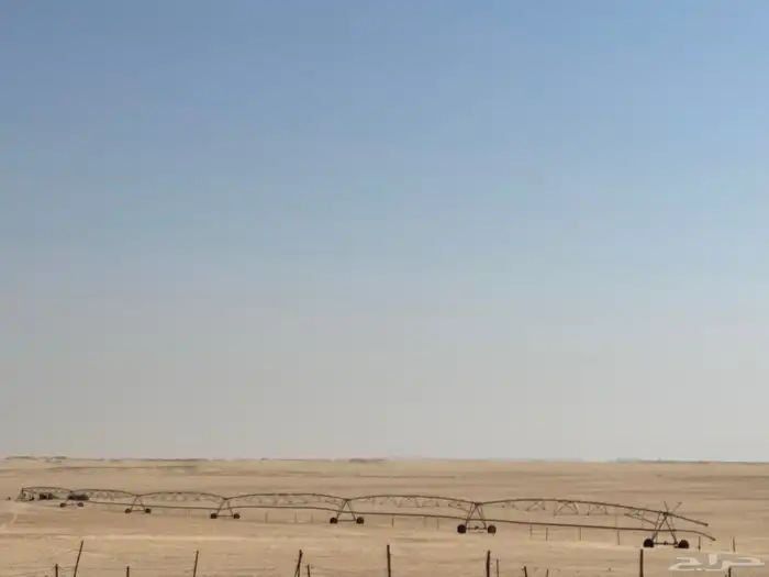 رشاش محوري للإيجار قمح 1