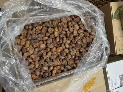تمر خلاص عضوي index