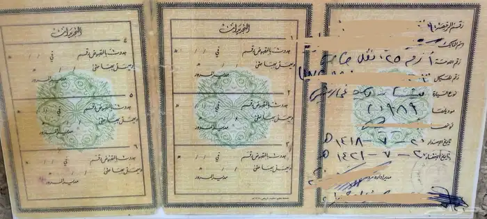 ددسن 1989 تحمل لوحة مميزه 7