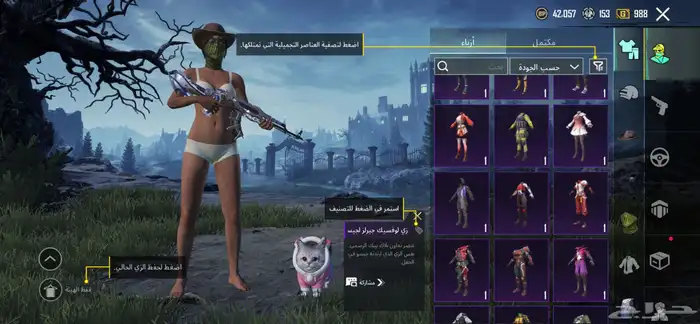 ببجي 13