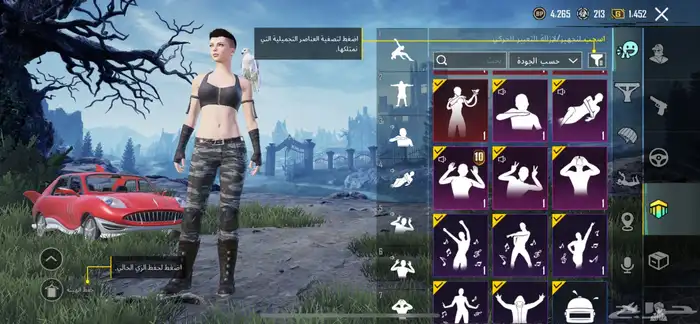 حساب ببجي للبيع او البدل 19
