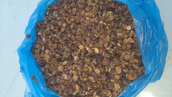 قشرسعر الكيس400وزن 48 2