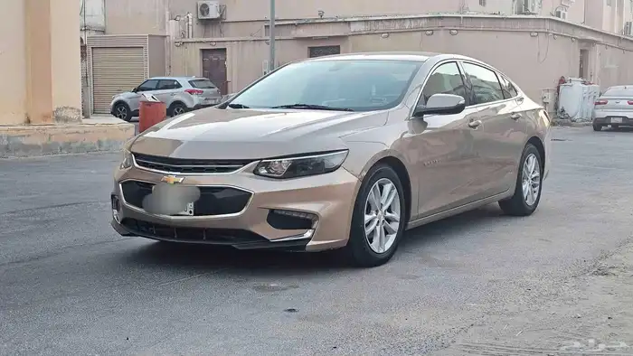 مالبيو 2018 0