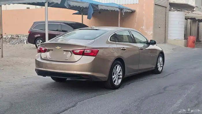 مالبيو 2018 1