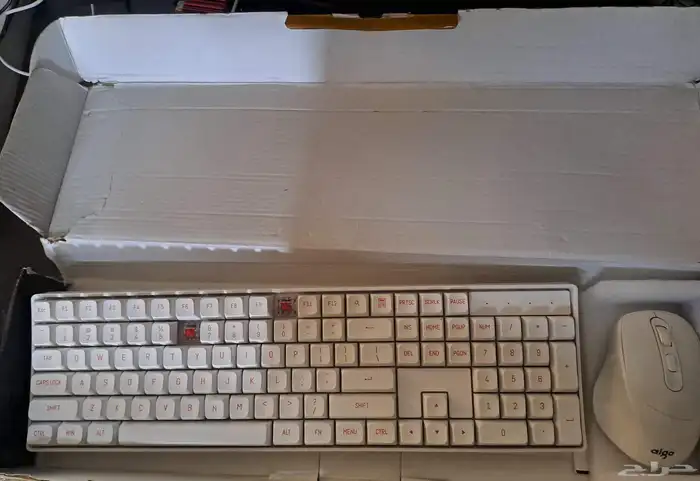 كييبورد شركه Aigo ck104 ريد سويت حجم 104 انجليزي فقط 5