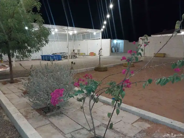 استراحه للايجار 9