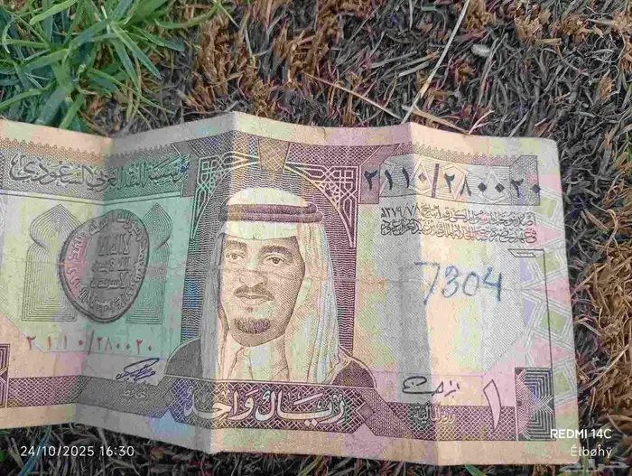 ريال من 1 7 1379 0