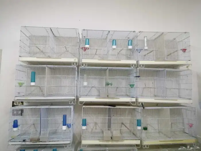 أقفاص كناري 1