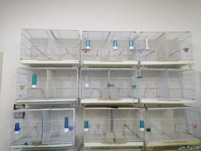 أقفاص كناري 0