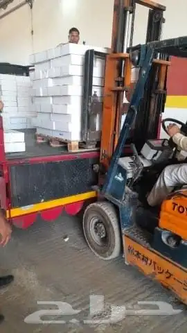 تمور حائل الفاخره 5