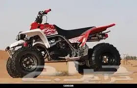 مطلوب بانشي 2009 0