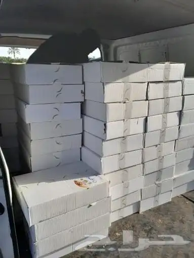 تمور حائل الفاخره 1