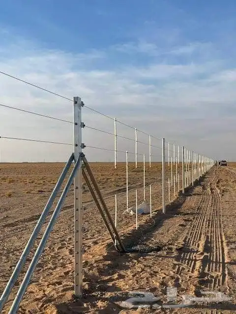 مقاول شبوك اشجار زيتون ونخل 3