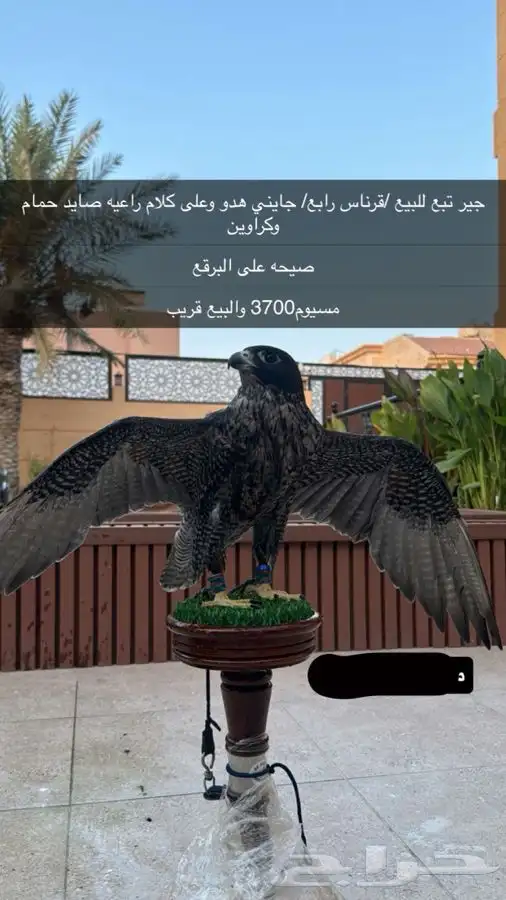 جير تبع للبيع 0