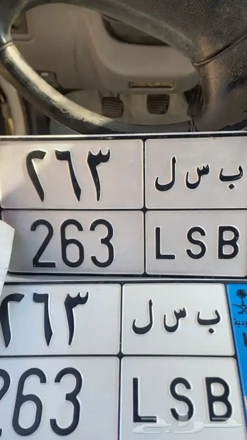 لوحه مميزه للبيع على السوم ولايجي الا الصامل 0