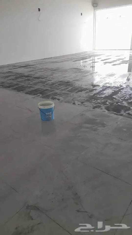 Cleaning solution for ceramic tiles safe and effective 5