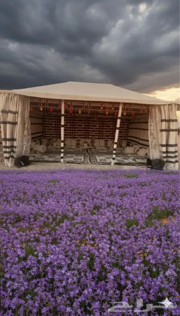 خيمه بيت شعر منزليه هيكل حديد و حاتم الطي و دفاية الفيصلية 1