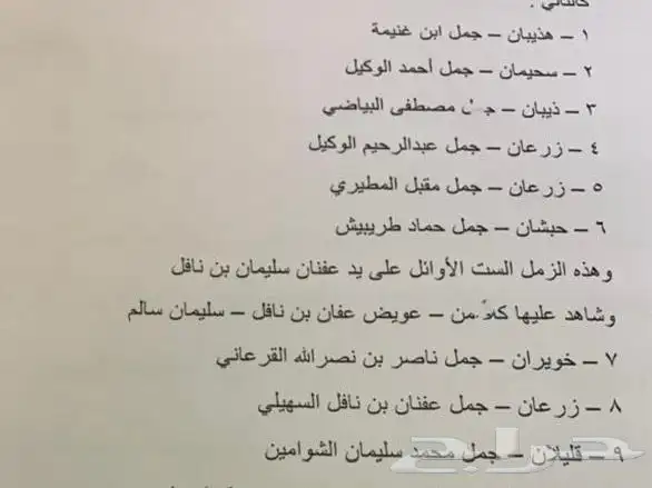 ناقه حرة المليحا السهيلي 2