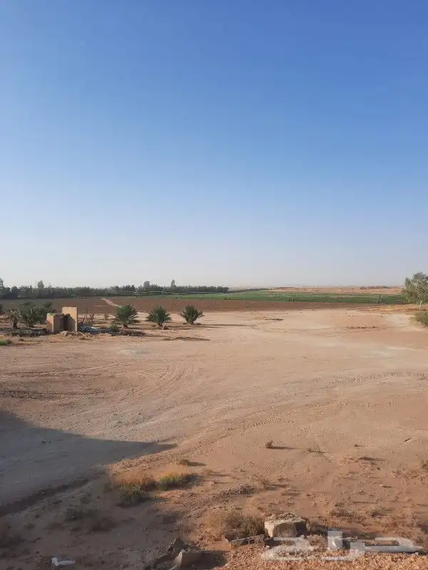 مزرعة للبيع بالقرنة 8