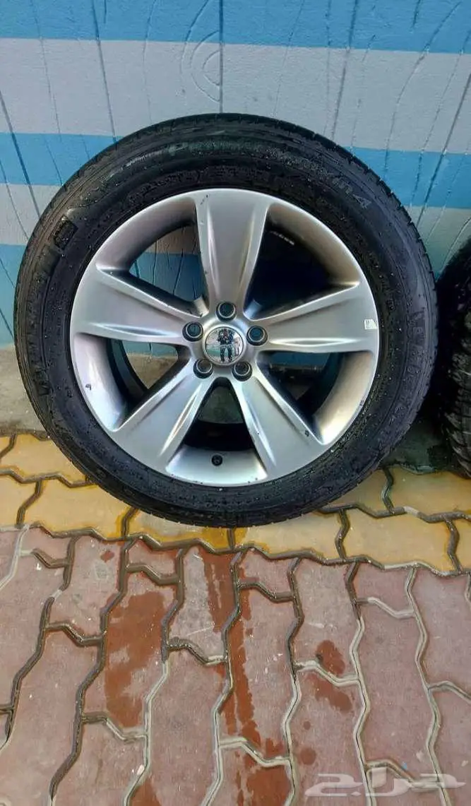 جنوط سياره دودج 0