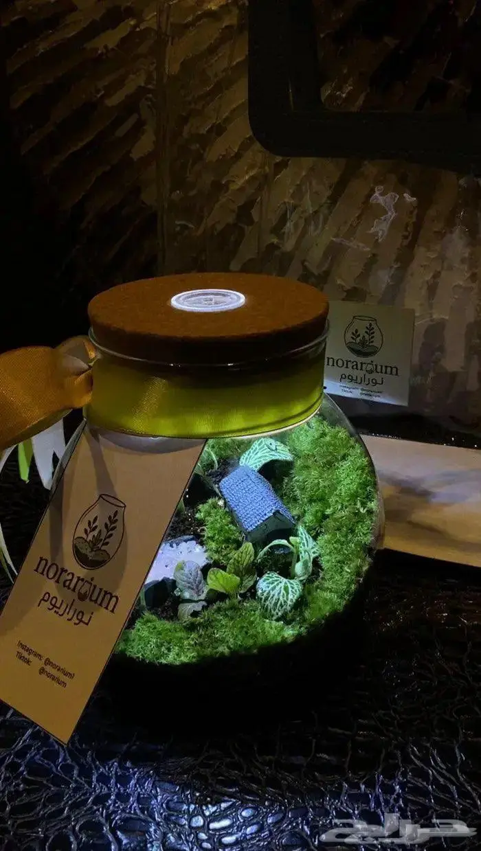 اسوي هدايا تيراريوم أرقى من الورد ويعيش أطول 0