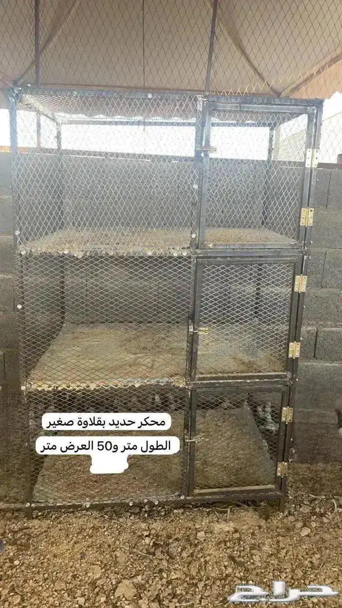 شبوك محاكر 0