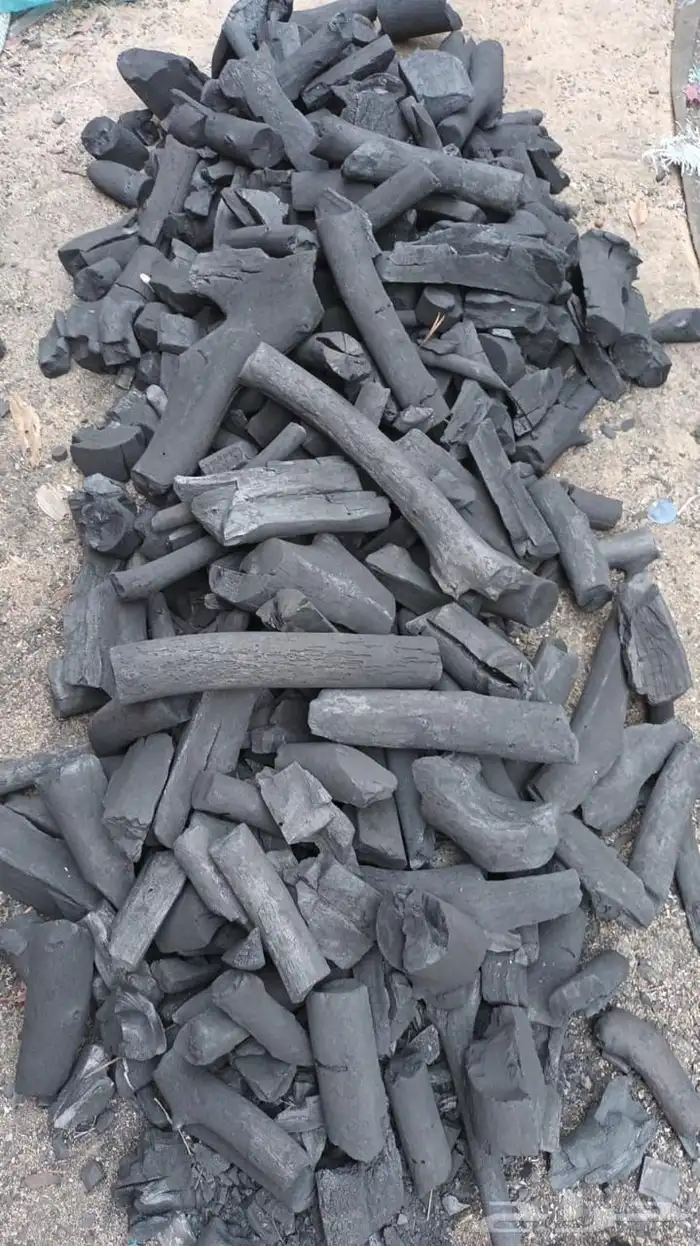 حطب افريقي 3