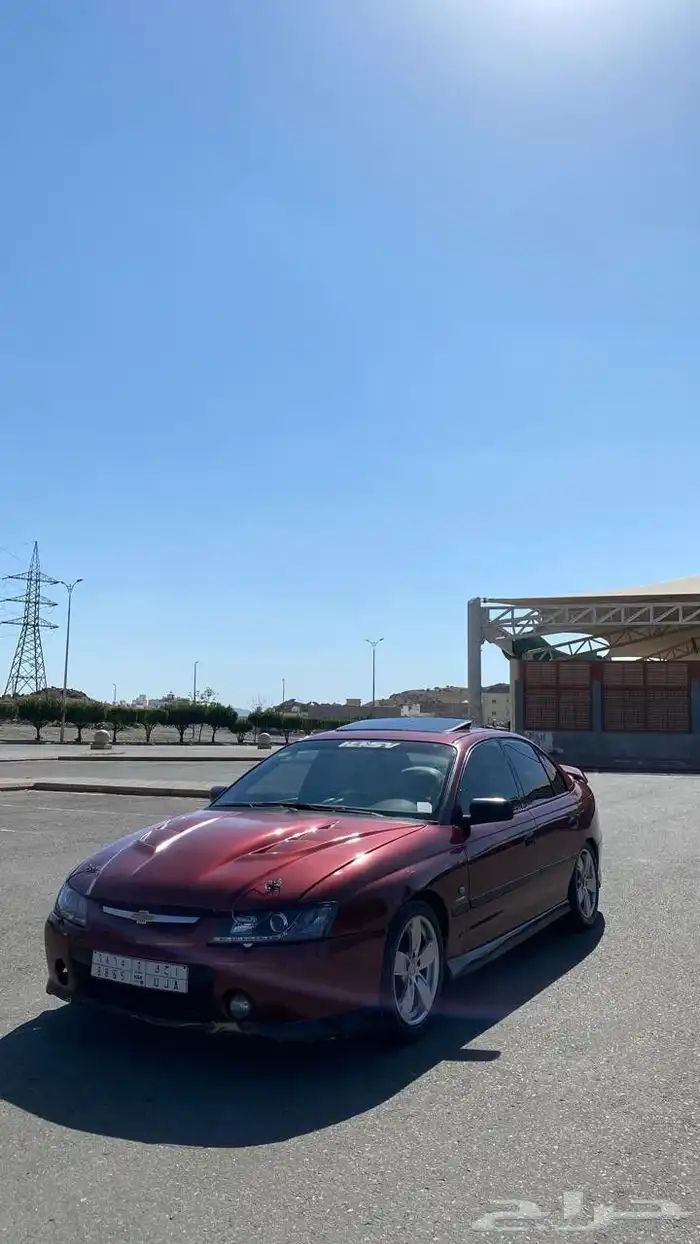 لومينا SS 2003 23