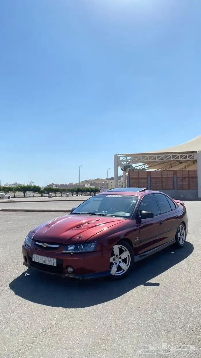 لومينا SS 2003 17