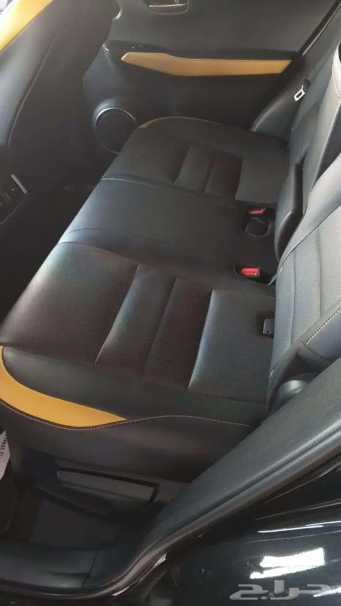 Lexus NX300 - 2021 1