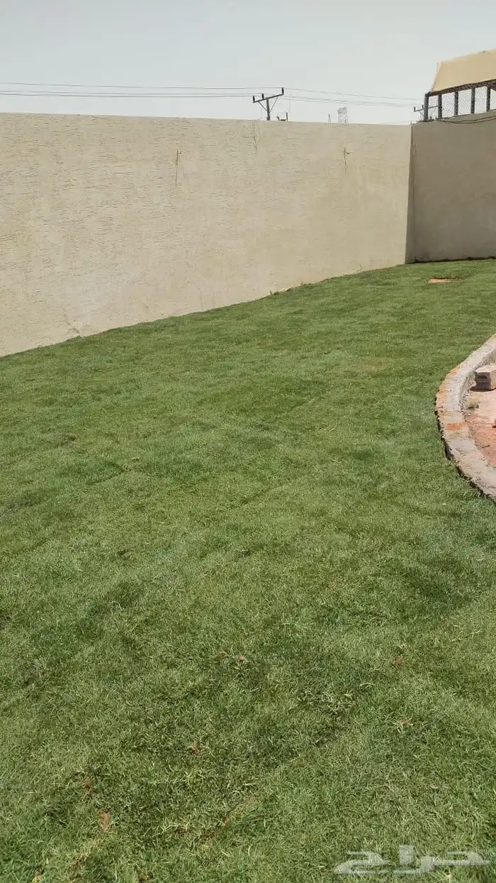 ثيل طبيعي سي 2000 و زرع طبيعي 4