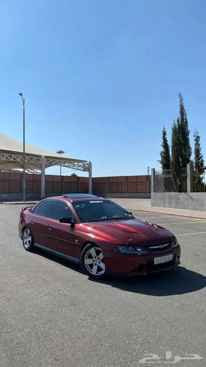 لومينا SS 2003 31