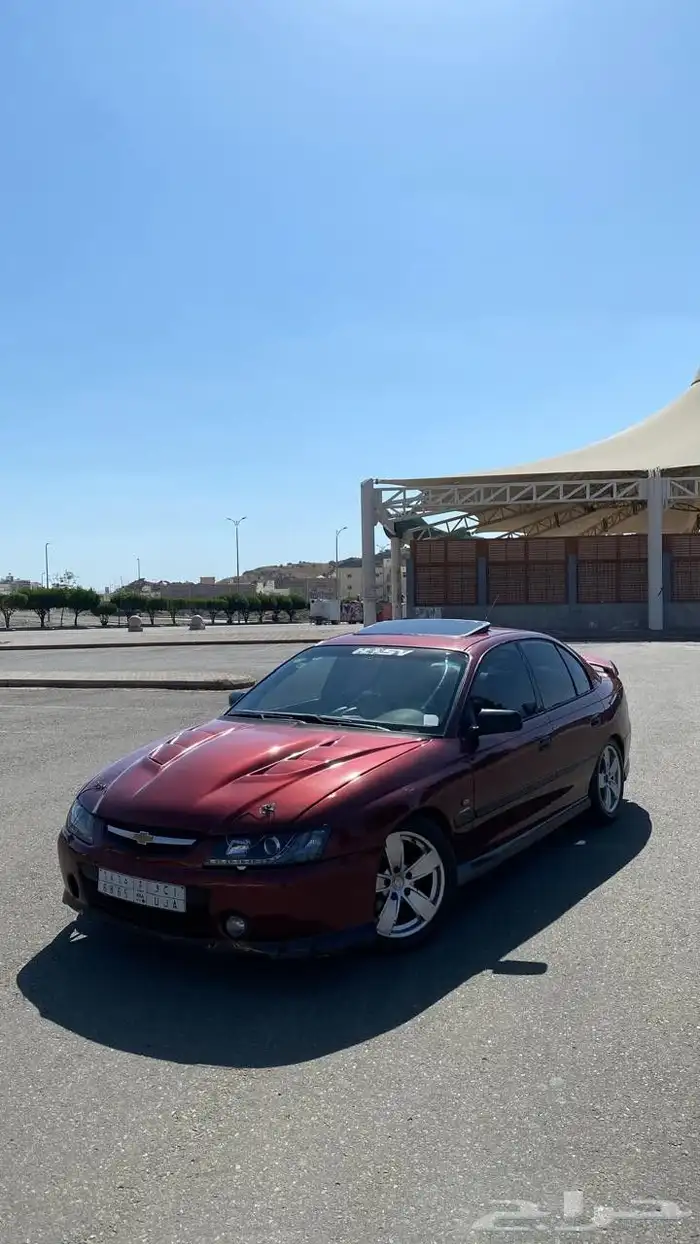 لومينا SS 2003 18