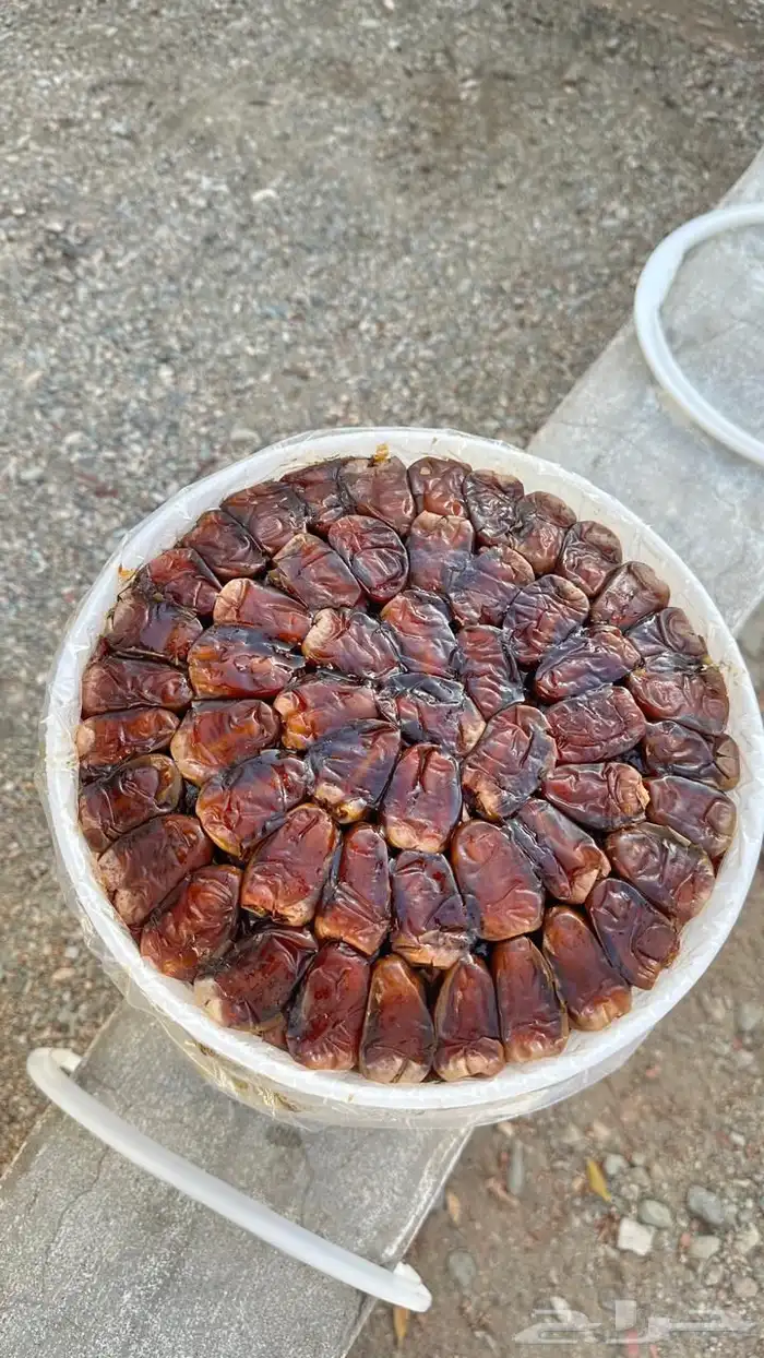 تمر العيص من مزارع الفرع 1