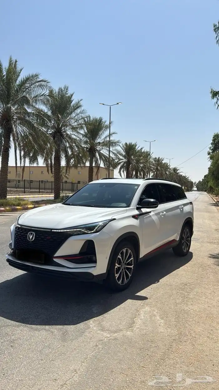 شانجان 2023 11