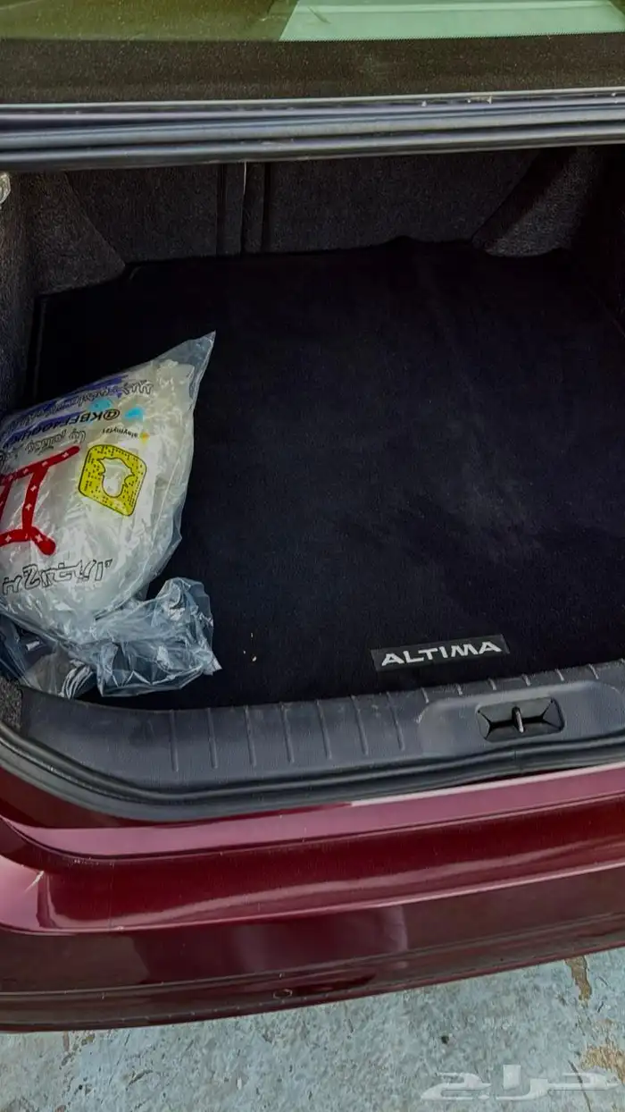 التيما SV 2023 11