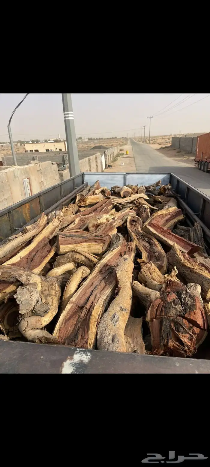 سمر وارطا شب ضوك 5