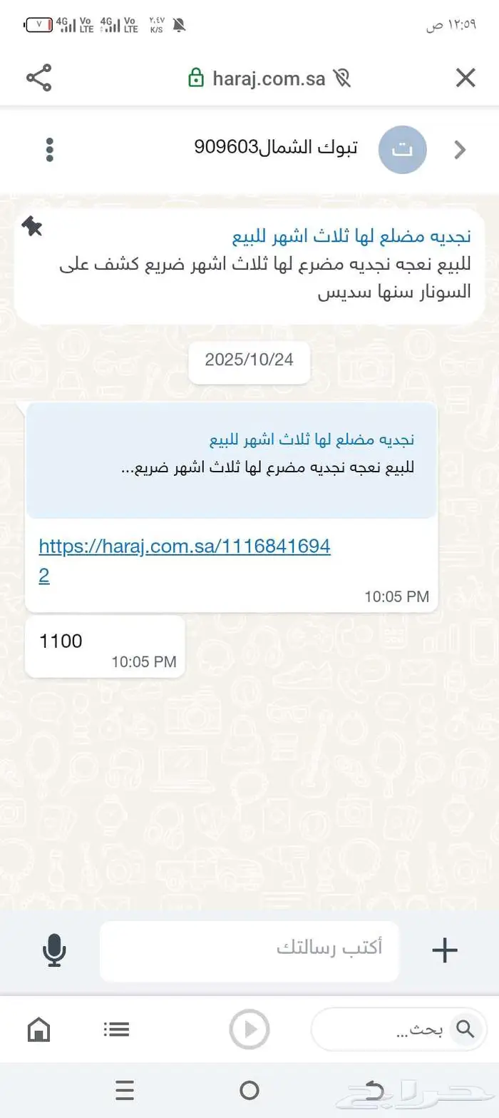 نجديه مضلع لها ثلاث اشهر للبيع 1