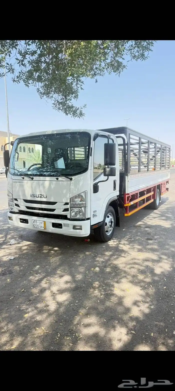 دينا للبيع 2024 1