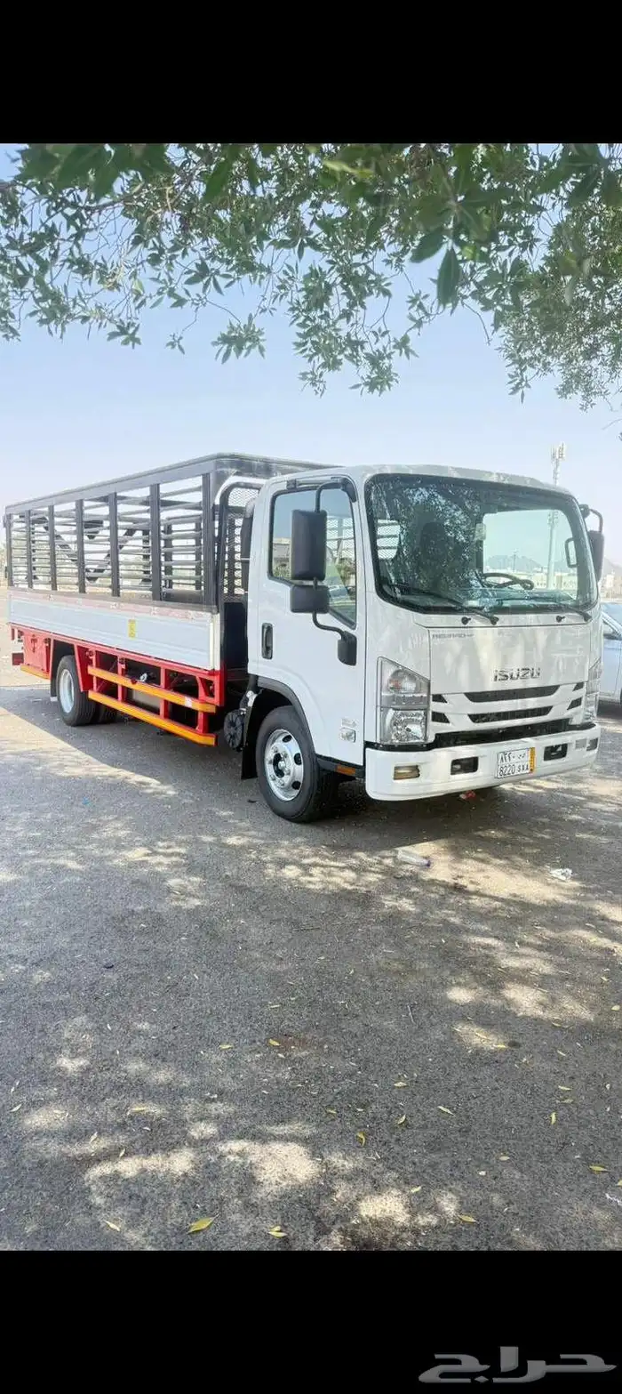 دينا للبيع 2024 2